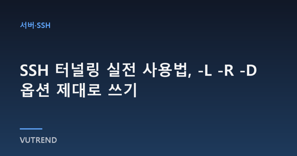 SSH 터널링 실전 사용법, -L -R -D 옵션 제대로 쓰기