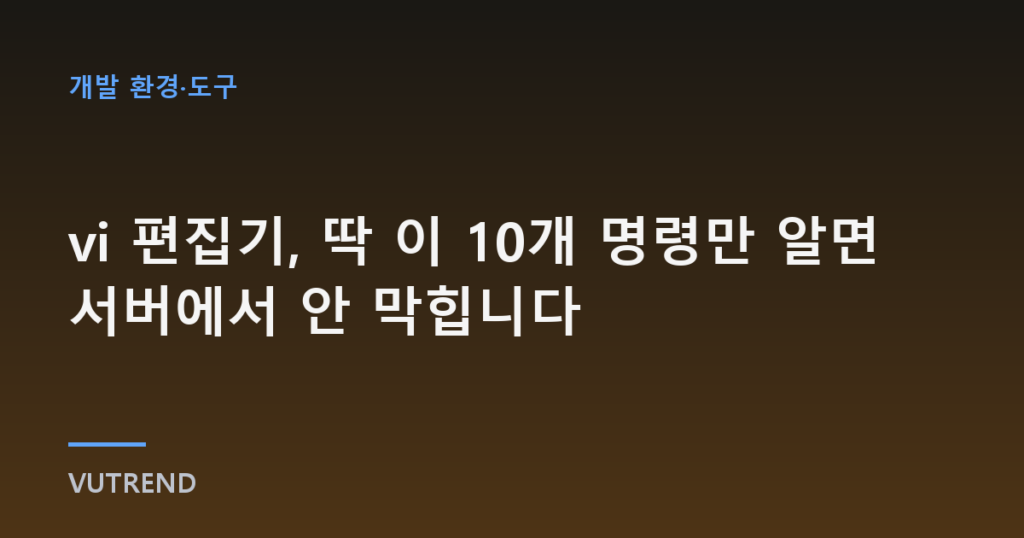 vi 편집기, 딱 이 10개 명령만 알면 서버에서 안 막힙니다